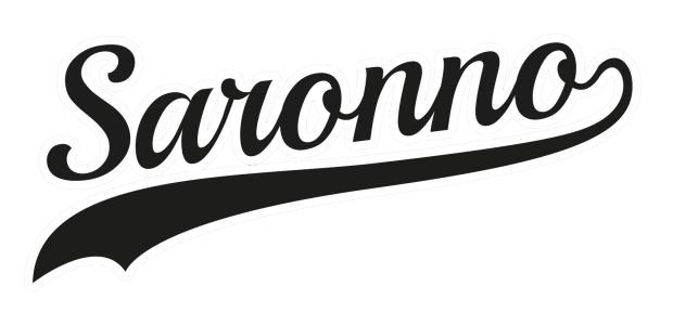 sponsor ufficiale saronno softball